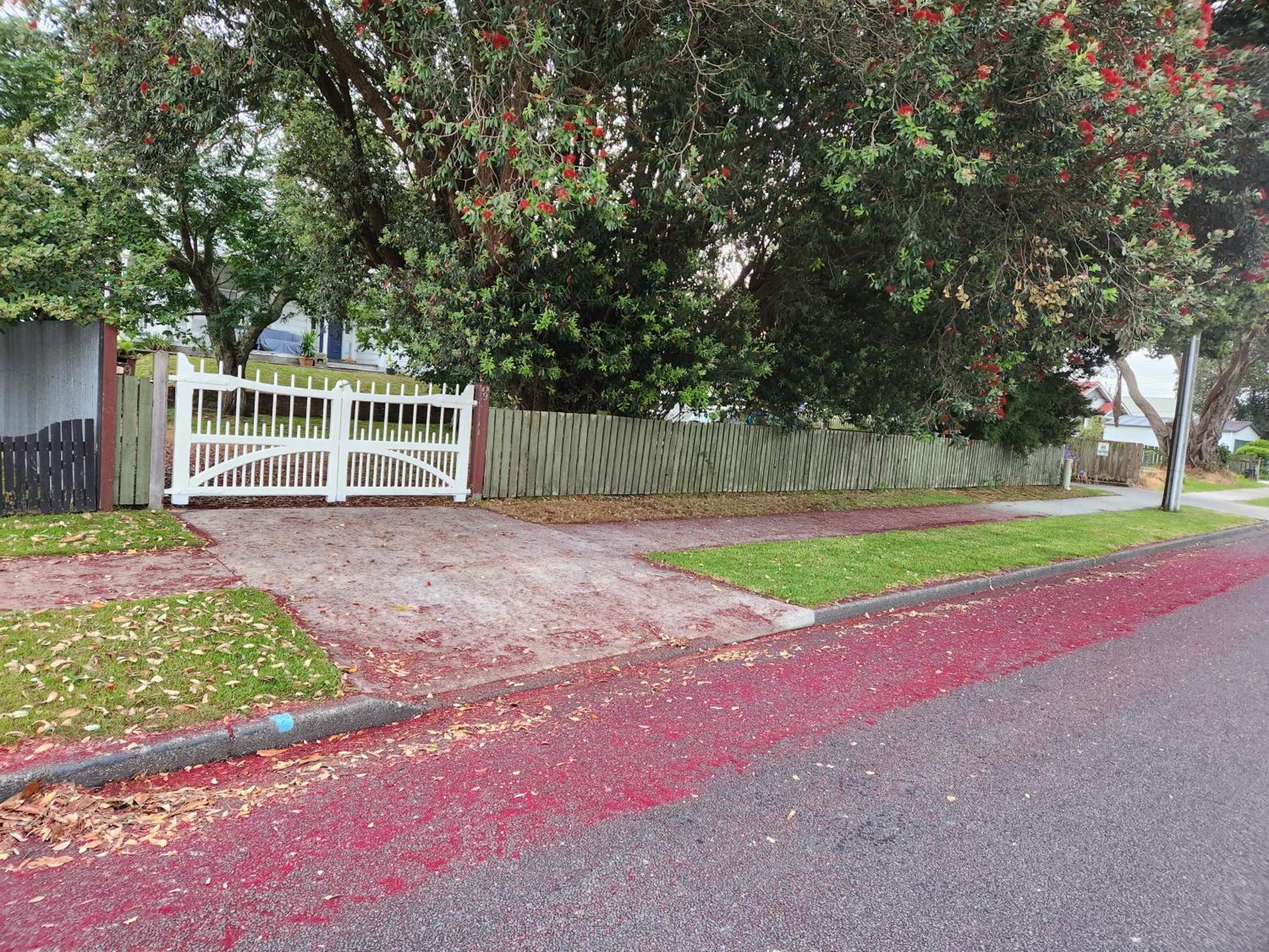 Quirky Villa Homestay Whanganui Eksteriør billede